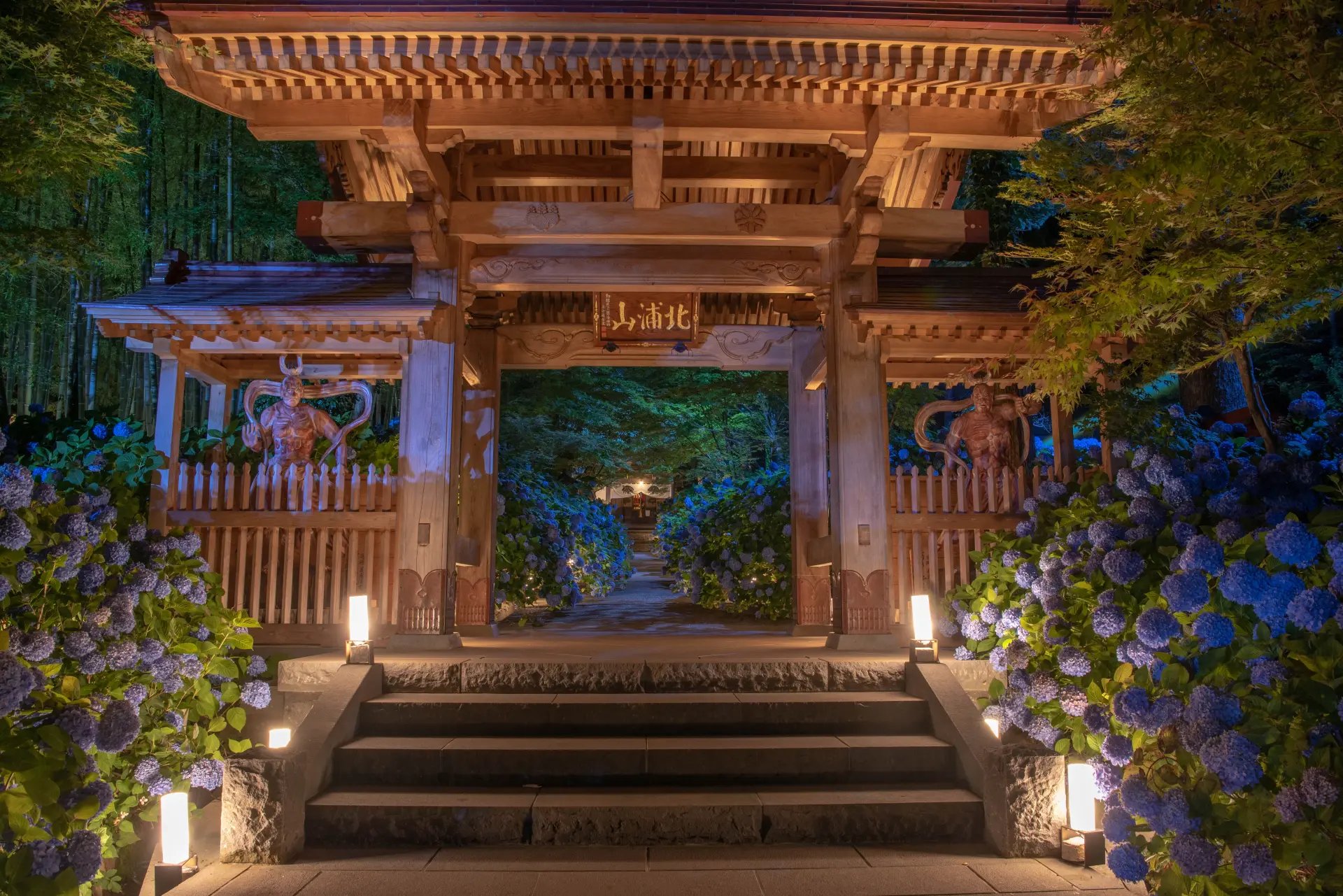 🌸 기타우라산 운쇼 절 (기타우라야마 운쇼지) 이미지 7